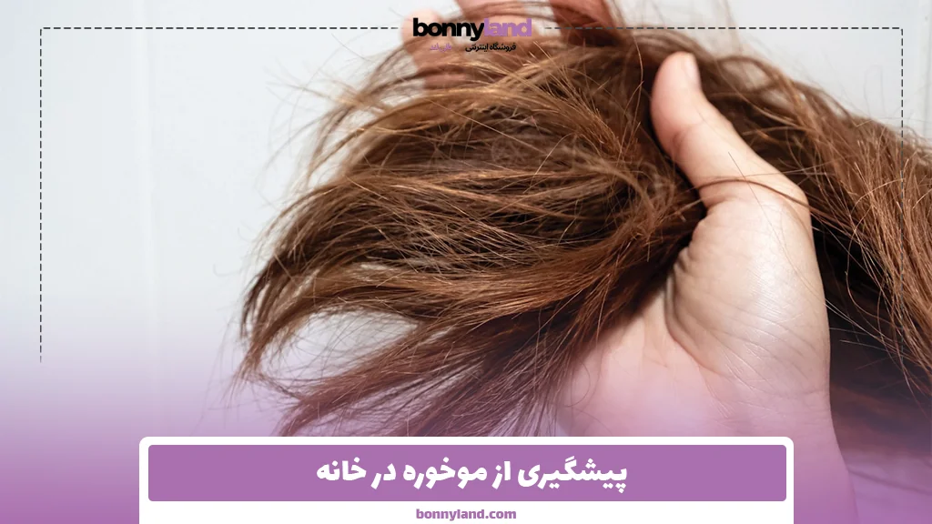پیشگیری از موخوره در خانه